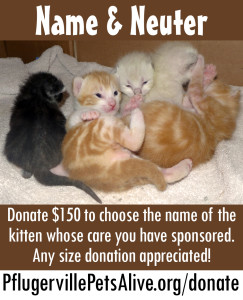name and neuter