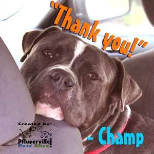 Champ thanks all his donors and supporters for helping him get better